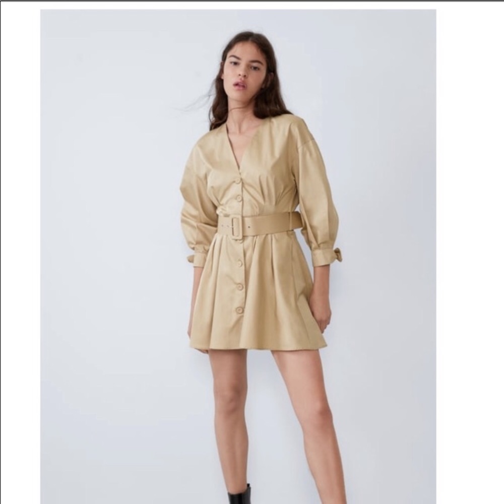 Zara Belted Dress